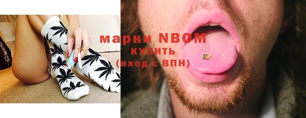 шишки Алексин