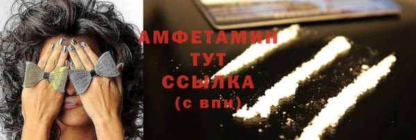 шишки Алексин