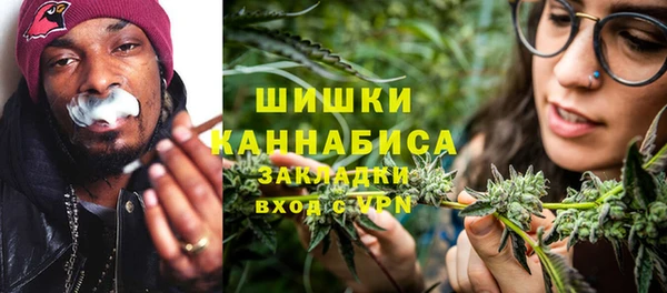 шишки Алексин