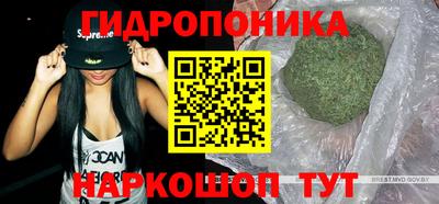 гидропоника Рузаевка