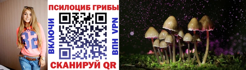 Галлюциногенные грибы MAGIC MUSHROOMS  Балашов 