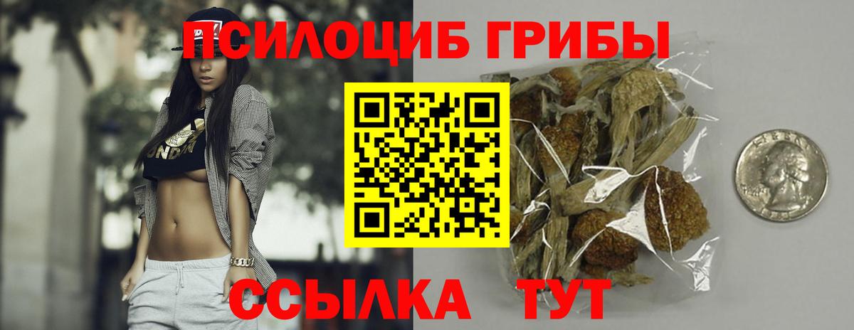 Балашов  Галлюциногенные грибы Psilocybe  Вход с VPN 